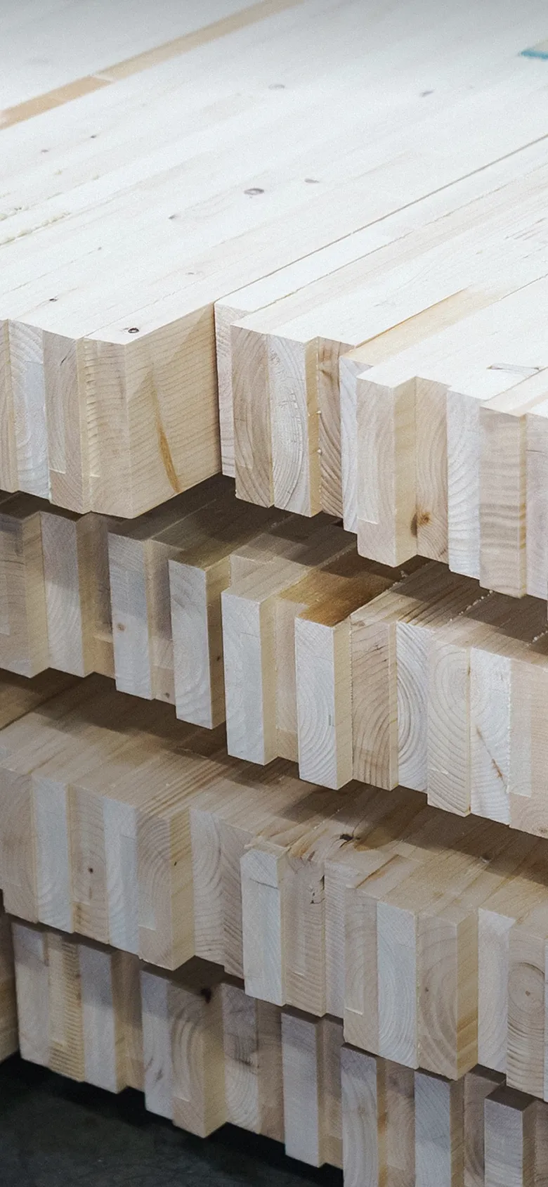 下川フォレストファミリー